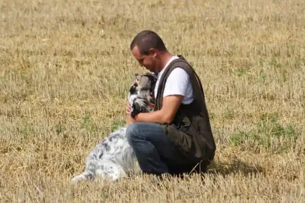 Le dressage canin à Nomain pour renforcer l'obéissance et la complicité avec votre chien.