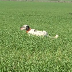 imgi_106_Acutalites27