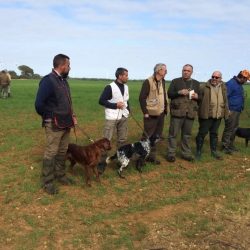 imgi_107_Acutalites26