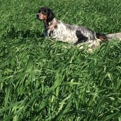 imgi_108_Acutalites31