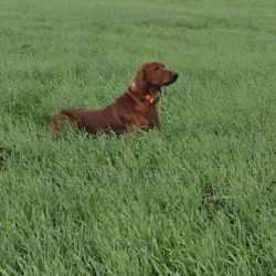 imgi_109_Acutalites30