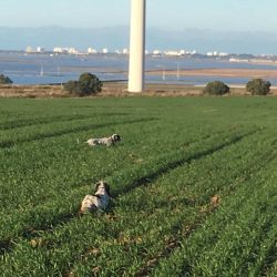 imgi_87_Acutalites46