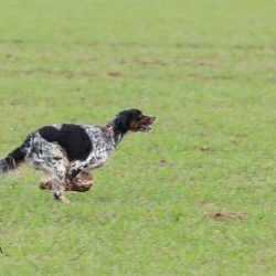 imgi_89_Acutalites50