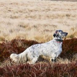 imgi_94_Acutalites40