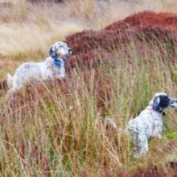 imgi_95_Acutalites41-e1648813278730