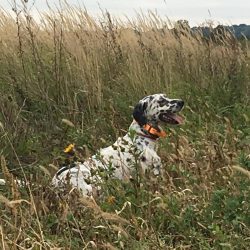 imgi_96_Acutalites42