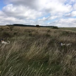 imgi_97_Acutalites43